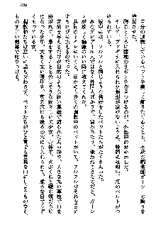 聖剣オルティナ伝説 ラピスディアの魔法少女, 日本語