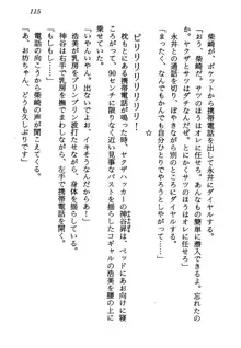 電脳エンジェル！ 天使の微笑が夢を殺す, 日本語