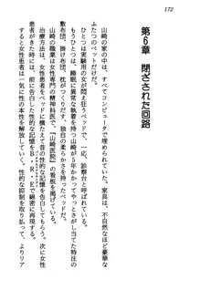 電脳エンジェル！ 天使の微笑が夢を殺す, 日本語