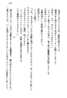 電脳エンジェル！ 天使の微笑が夢を殺す, 日本語