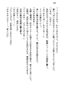 電脳エンジェル！ 天使の微笑が夢を殺す, 日本語