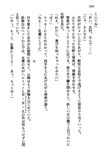 電脳エンジェル！ 天使の微笑が夢を殺す, 日本語