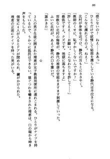 電脳エンジェル！ 天使の微笑が夢を殺す, 日本語