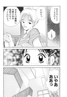 オレンジ色の花, 日本語