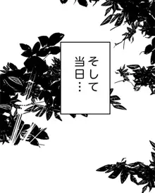 みっくみくな反応 71-115, 日本語