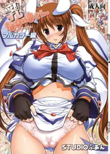 New Nanoha-san. + Shamal-san. Fullcolor Hen, English