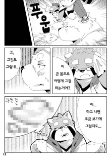 Shirokuma Kiss, 한국어