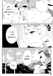 Shirokuma Kiss, 한국어