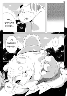 Shirokuma Kiss, 한국어