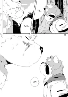 Shirokuma Kiss, 한국어