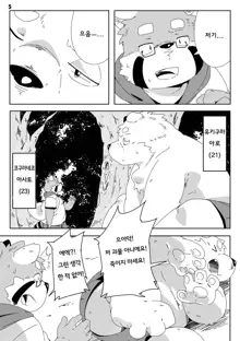 Shirokuma Kiss, 한국어