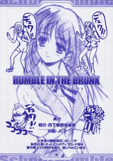 RUMBLE IN THE BRONX, 日本語