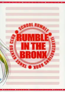 RUMBLE IN THE BRONX, 日本語