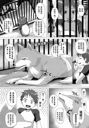 Heisei Hourouki | Chronicle of a Heisei Pleasuring Wolf, 中文