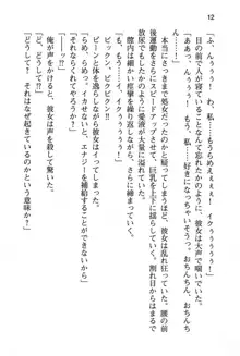 清楚な戦姫と高貴な魔王を飼育調教!, 日本語