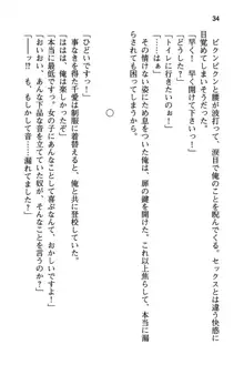 清楚な戦姫と高貴な魔王を飼育調教!, 日本語