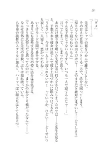 先生と結婚シテして, 日本語