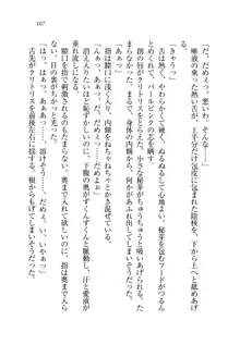 お姉ちゃん先生が料理してあげる, 日本語