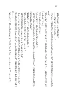 お姉ちゃん先生が料理してあげる, 日本語