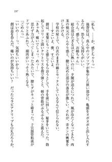 お姉ちゃん先生が料理してあげる, 日本語