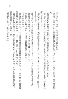 お姉ちゃん先生が料理してあげる, 日本語