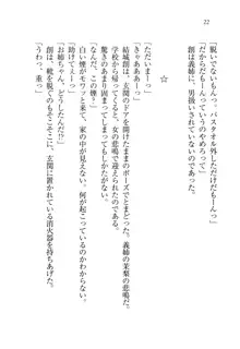 お姉ちゃん先生が料理してあげる, 日本語