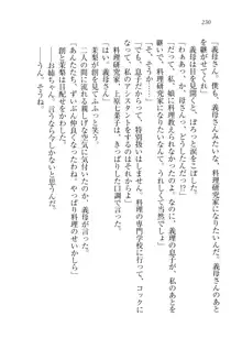 お姉ちゃん先生が料理してあげる, 日本語