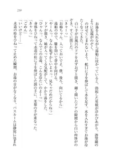 お姉ちゃん先生が料理してあげる, 日本語