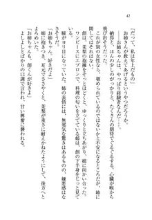 お姉ちゃん先生が料理してあげる, 日本語