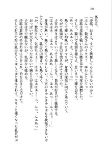 My姫 なごみ, 日本語