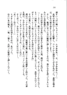 ホントに撮っちゃうよ？ 生徒会長さん, 日本語