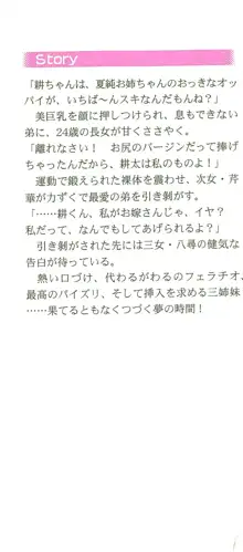 あねらぶ～彼女は三姉妹!, 日本語