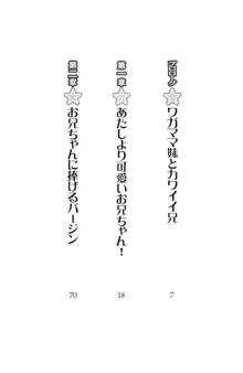 カワイイお兄ちゃんなんて大キライ!, 日本語