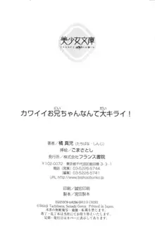 カワイイお兄ちゃんなんて大キライ!, 日本語