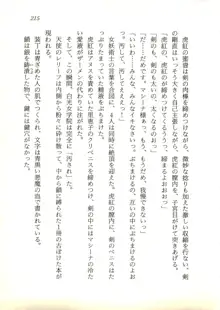 ウィアードハンター 時空妖術書の謎, 日本語