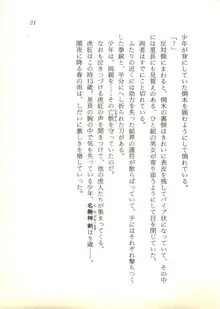 ウィアードハンター 時空妖術書の謎, 日本語