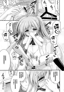 Vivio to Einhart no Shoujo Kaihatsu Method, 中文