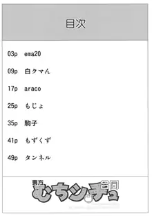 東方むちシチュ合同, 日本語