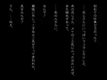 マネーガールズ宣言!, 日本語