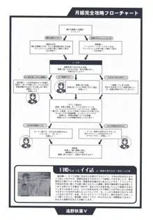 月姫読本, 日本語