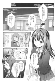 ふたりのシンデレラ, 日本語