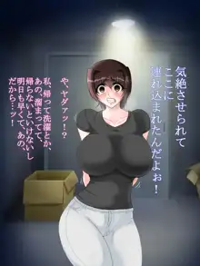 地味で巨乳な派遣女を俺の家に強制招待, 日本語