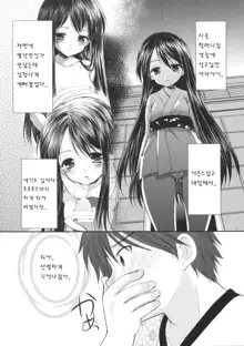 Oshikake Shoujo, 한국어