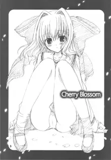 Cherry Blossom, 日本語