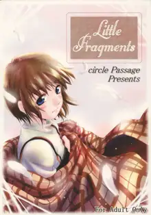 Little Fragments, 日本語