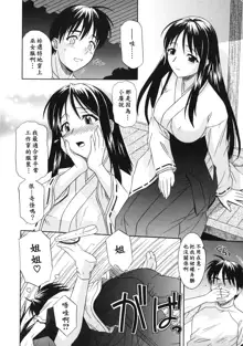 Ane no Ana - An elder sister's lewd cavity, 中文