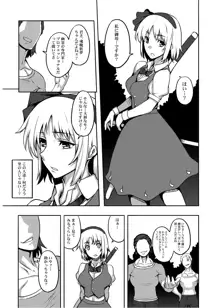 東方projectの本 総集編, 日本語