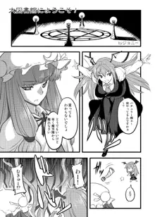 東方projectの本 総集編, 日本語