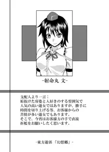 東方projectの本 総集編, 日本語