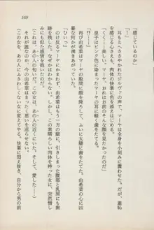 異界の守護神 魔皇騎ディ・オ－ス, 日本語